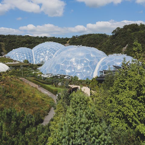 Visit Cornwall's famous Eden Project, only a twenty-minute drive away