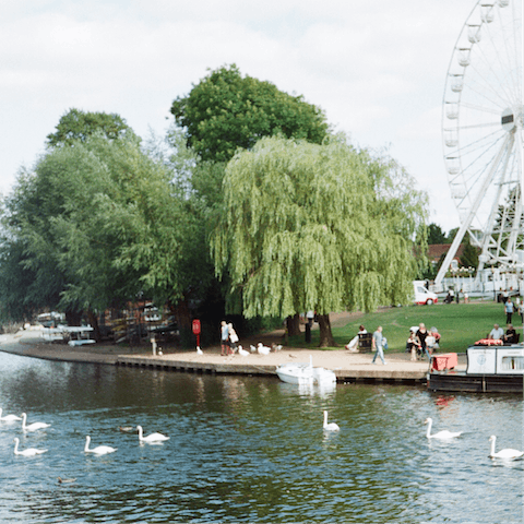 Enjoy leisurely riverside strolls and sightseeing 