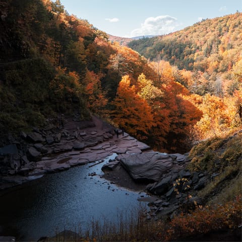 Explore the nearby hiking trails – this home borders the Catskill Park