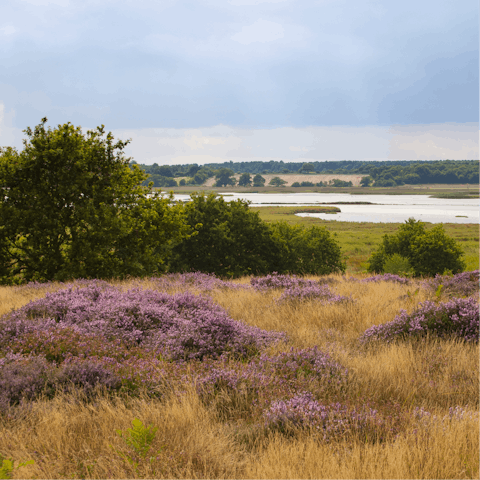 Put on your walking boots and follow the nearby River Waveney as far as you can