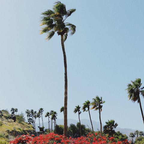 Stay in Spanish Bay with panoramic mountain views on the Jack Nicklaus Tournament Course – a  nine-minute stroll away