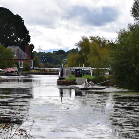 Stroll along the River Exe into town – it's around twenty minutes away