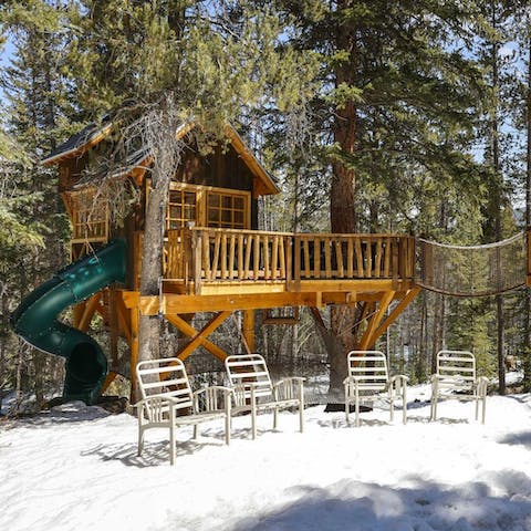 Spend the afternoon playing with the kids in the treehouse
