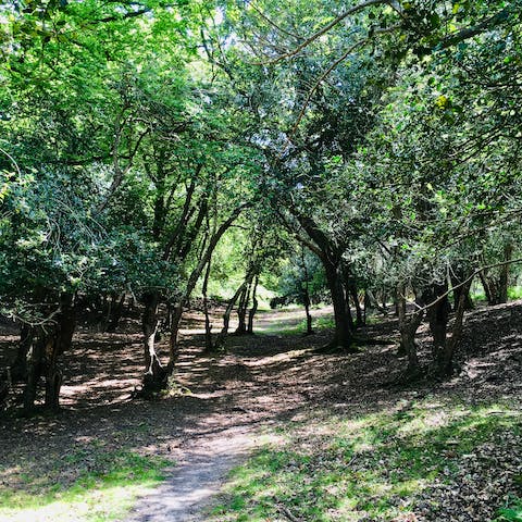 Walk out of the garden gate and straight into the New Forest's plentiful walking routes