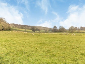 Peaceful Journey image 8