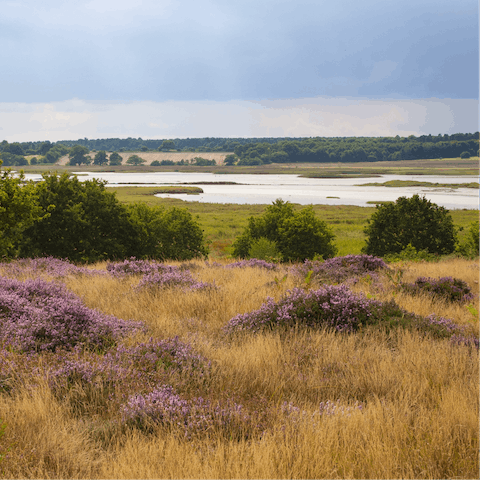Explore Suffolk's beautiful coast and marshes