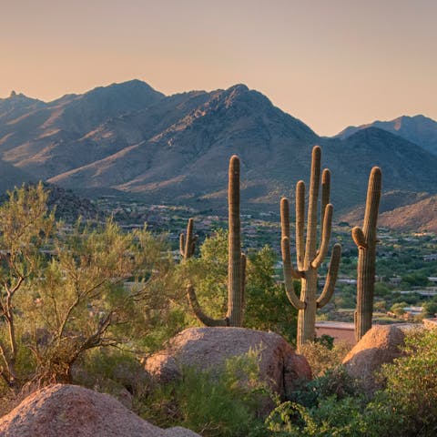 Drive ten minutes to Camelback Mountain