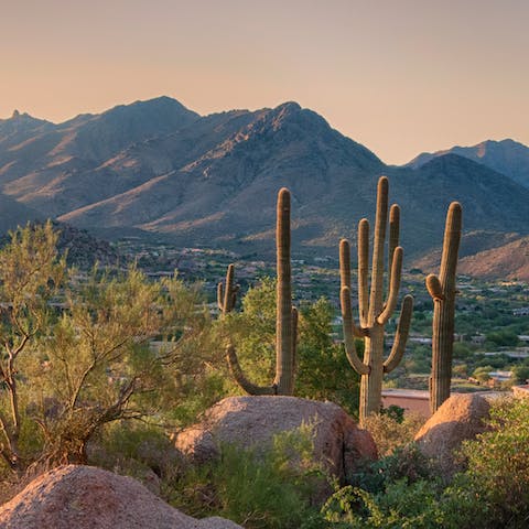 Drive ten minutes to Camelback Mountain