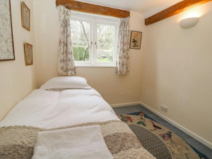 Wilderwood image 10