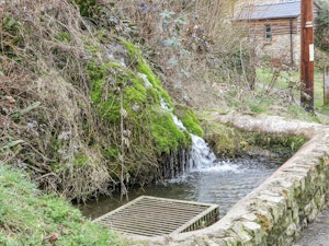 Wilderwood image 9