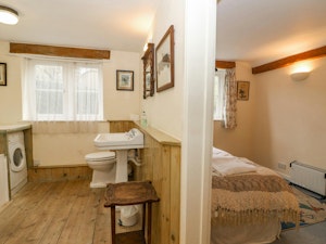 Wilderwood image 7