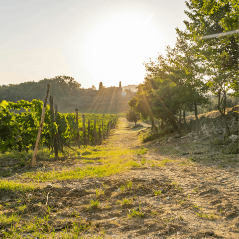 Experience the timeless beauty of Italy from Chianti