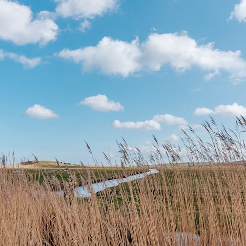 Visit the famous waterways of the Broads National Park