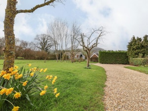 Dorset Orchards image 7