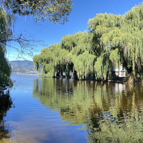 Grab the kayaks and take in the views by paddling on Trust Creek