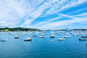 Harbour on the Horizon image 6