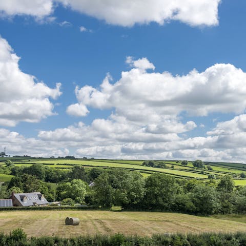 Stay in the middle of the Dorset countryside and enjoy the peace and quiet