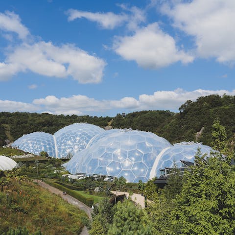 Visit the Eden Project, under a thirty-minute drive away