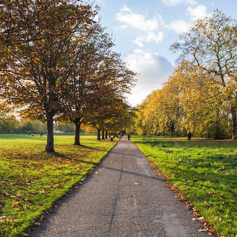 Reconnect with nature on a leisurely stroll through Hyde Park – 350 acres of pristine parkland right in the centre of London