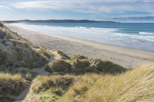 Dune Surfer image 11