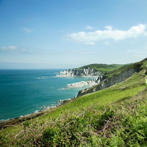 Explore the stunning Devon coast nearby