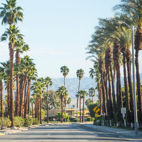 Party on in downtown Palm Springs, a twenty-five-minute drive away