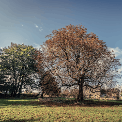 Embark on leisurely walks around the beautiful stretches of greenery in Upton