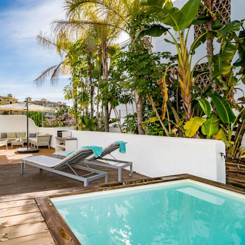 Lounge by the small private pool, surrounded by lush greenery
