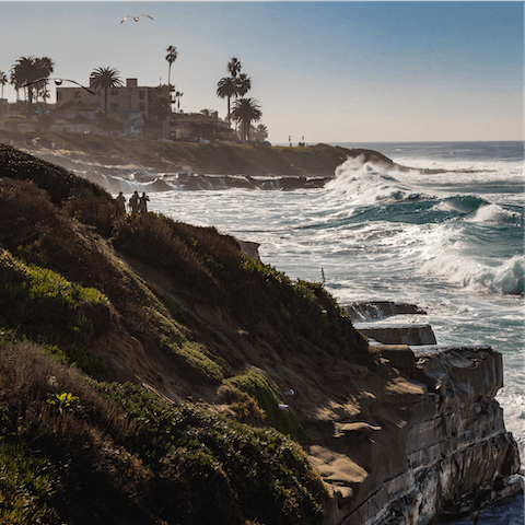 Drive to La Jolla for restaurants, boutiques and coastal walks