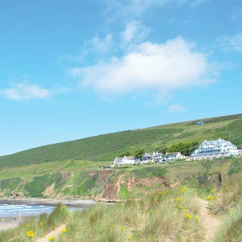 Find unique coastal flora and fauna in the dunes around the home