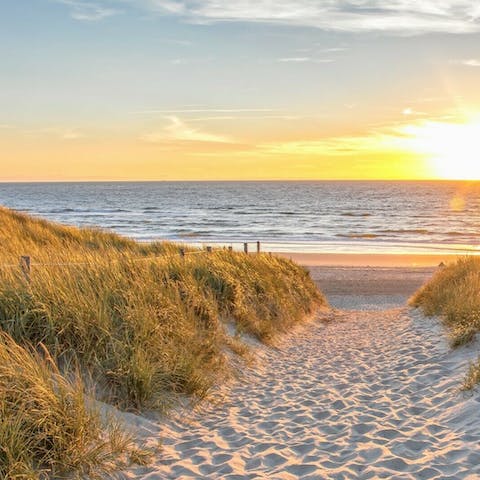 Embrace the refreshing spirit of the sea from the island of Texel