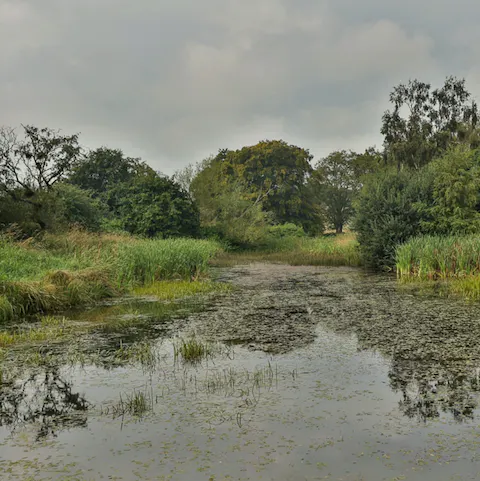 Stroll to the nearby lake for a peaceful country walk