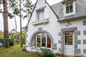 Great Breton image 5