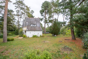 Great Breton image 3