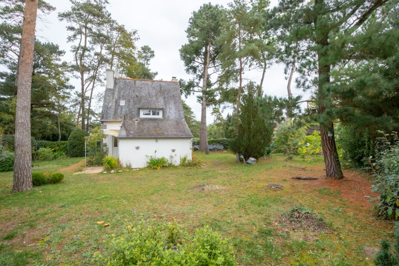 Great Breton additional image