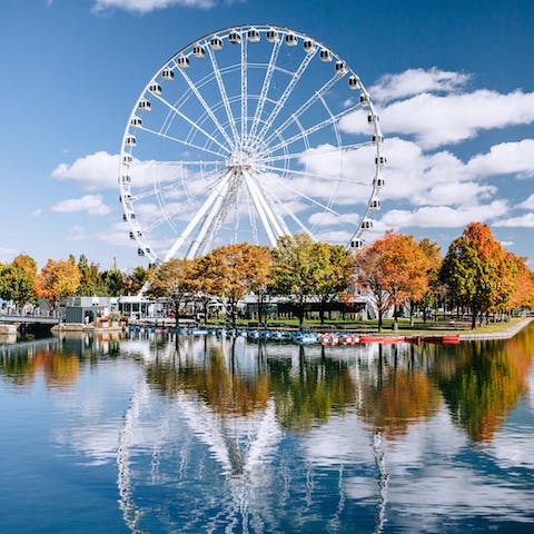 Have a walk along the the Old Port's waterside, a five-minute walk away