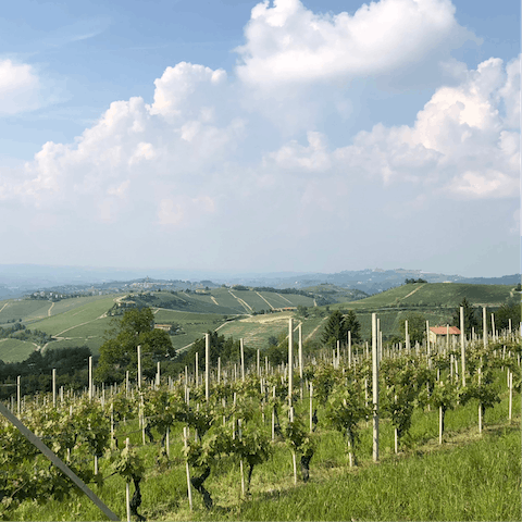 Enjoy the beauty of the Piedmont region, famous for its exquisite wine