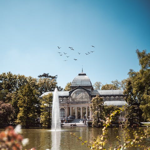 Get lost in the gorgeous Retiro Park, just across the street from your apartment