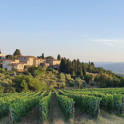 Admire stunning views of the Tuscan countryside and nearby vineyards
