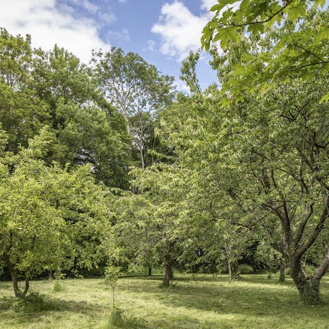 Take a walk through the expansive apple and pear orchard on the estate