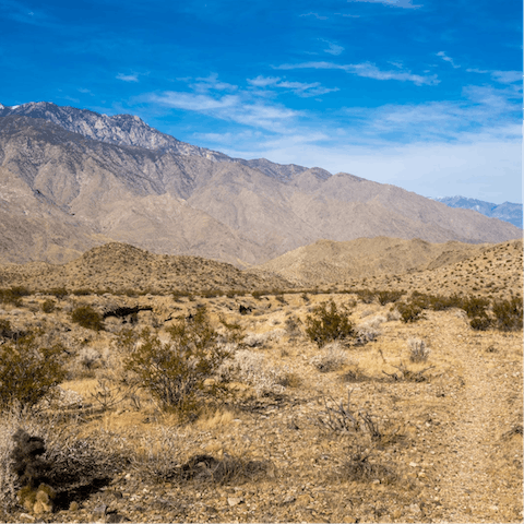 Stay in La Quinta Cove  – approximately 25 miles from Palm Springs