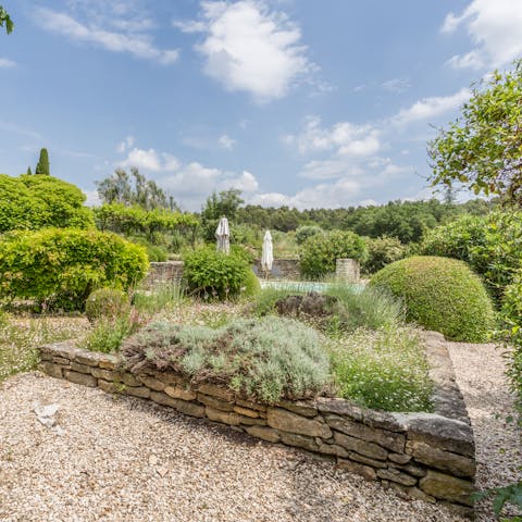 Enjoy a peaceful moment in the lush garden