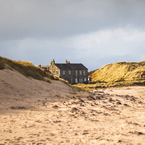 Explore Seahouses on your doorstep or get a boat to the Farne Islands