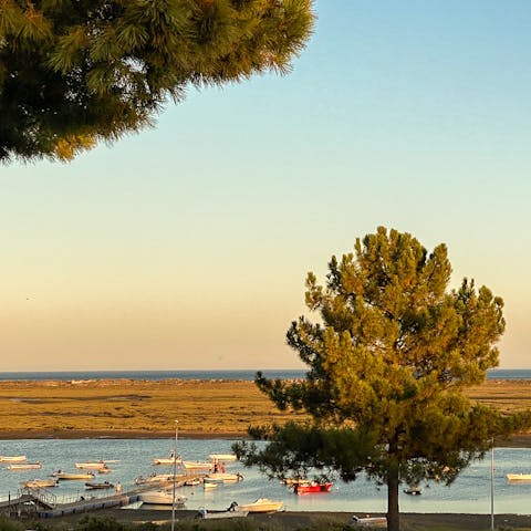 Immerse yourself in the peace of the Ria Formosa Natural Park