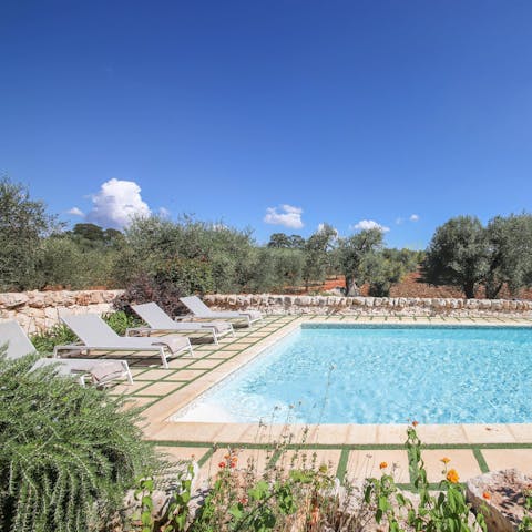Stretch out beside the private pool amid olive trees