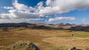 Hardknott Cottage image 3