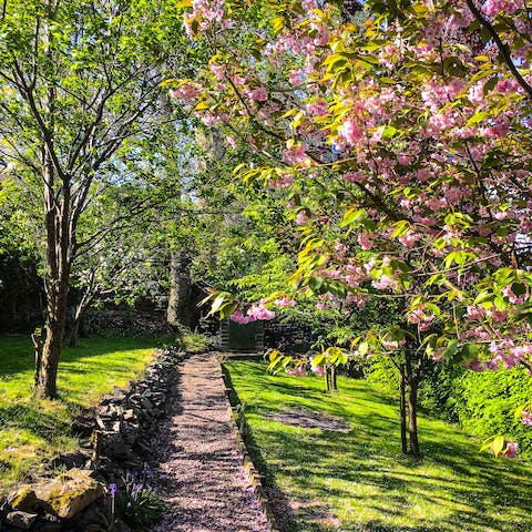 Enjoy the gardens in bloom as you walk the slope towards the orchards