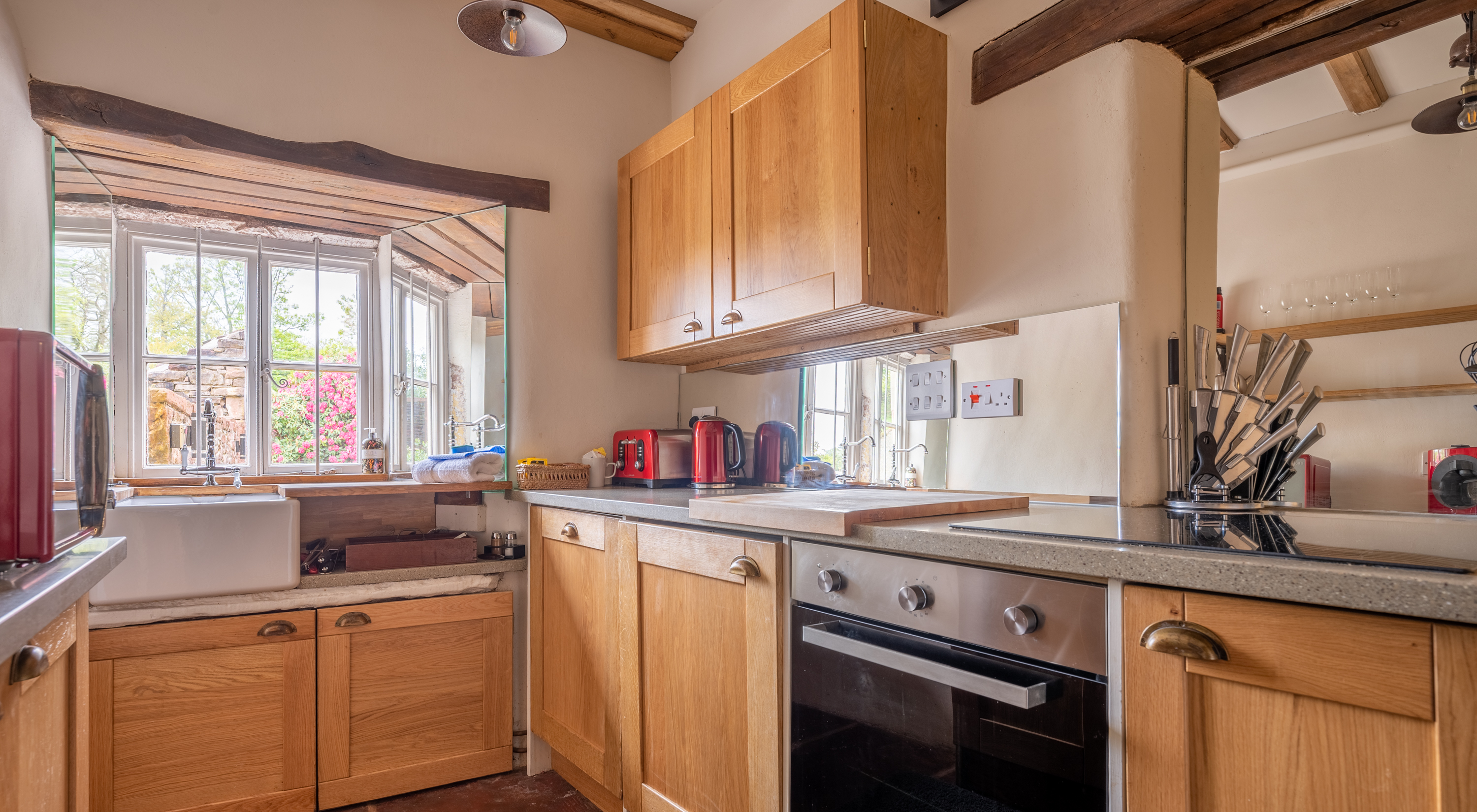 A Host of Golden Daffodils