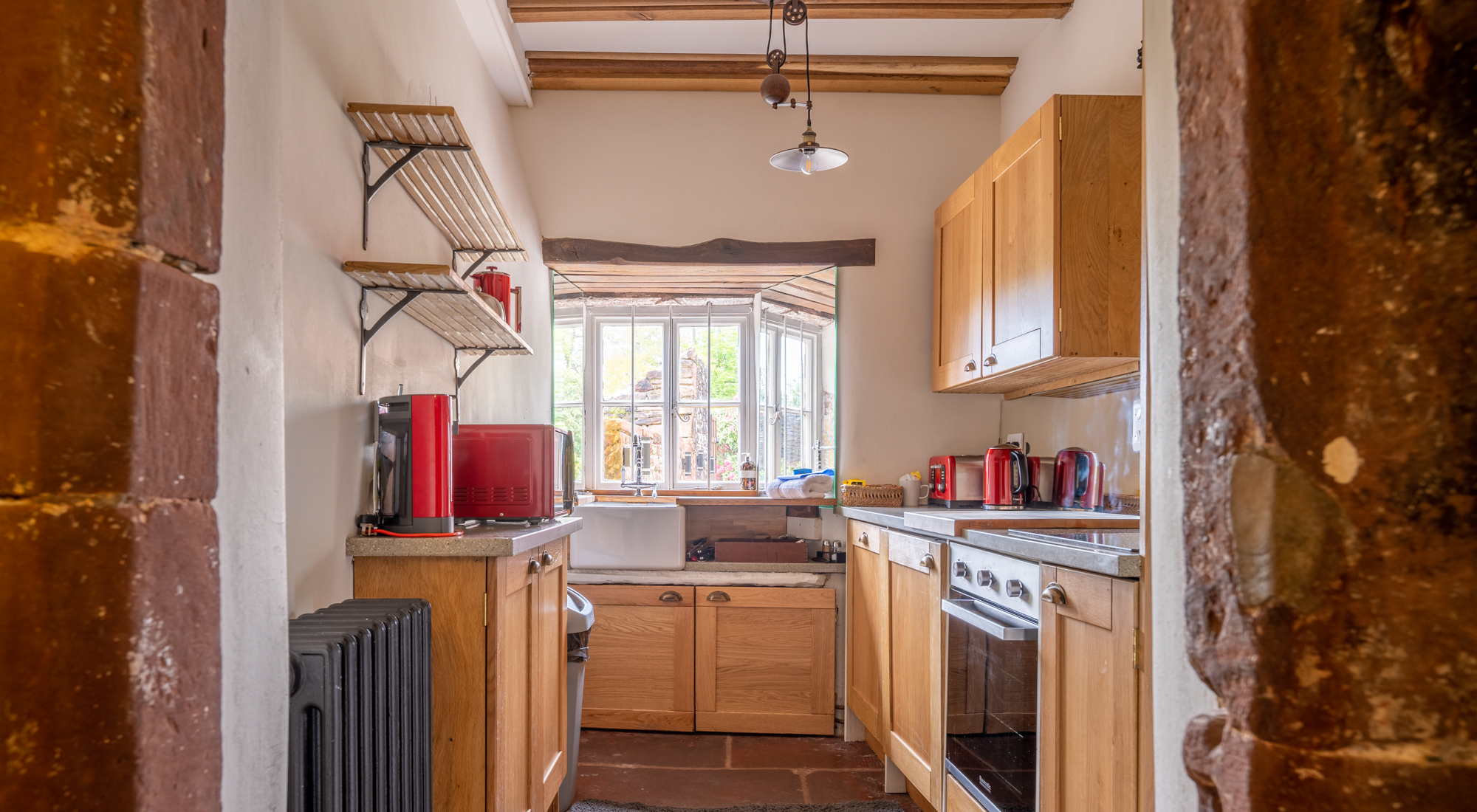 A Host of Golden Daffodils