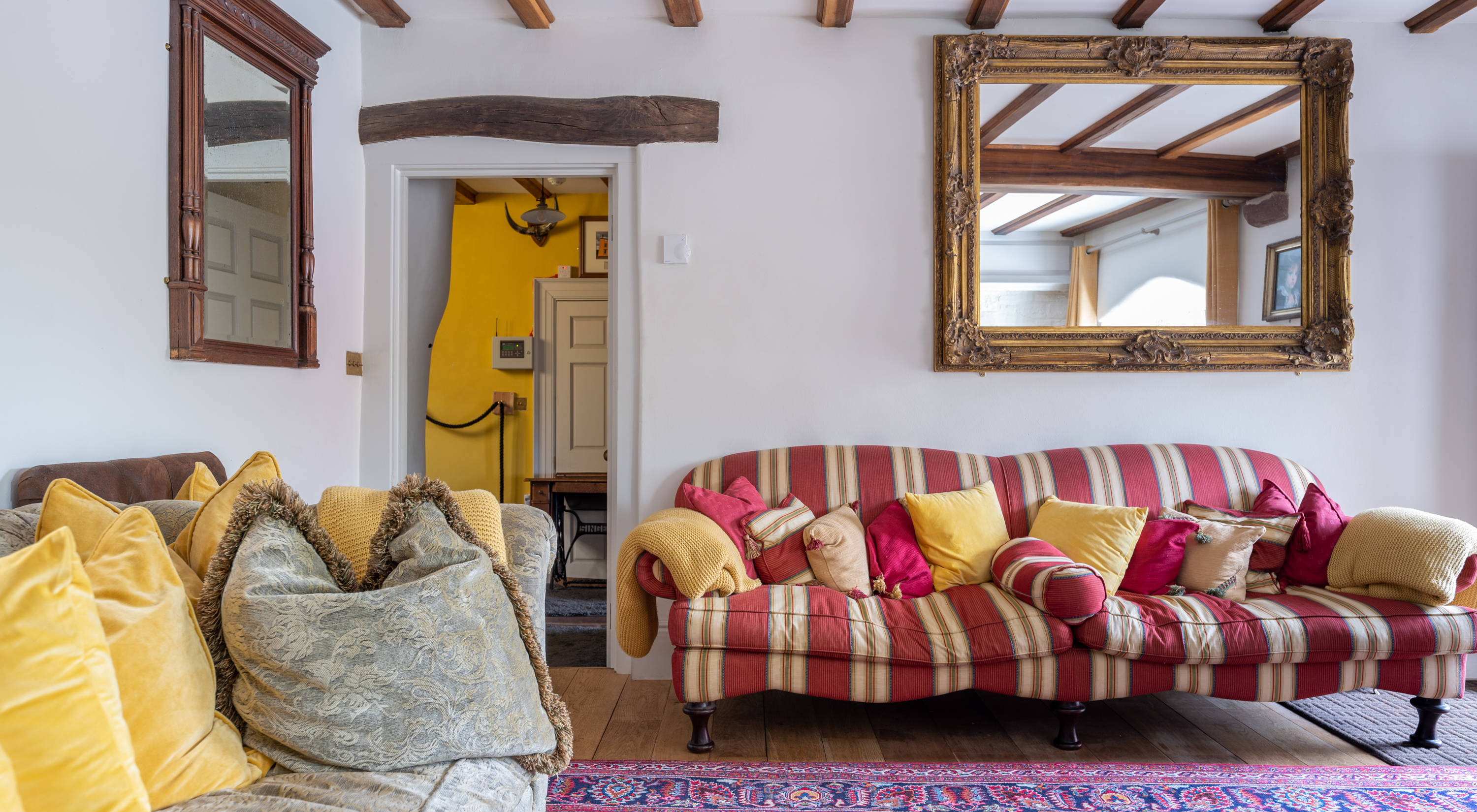 A Host of Golden Daffodils